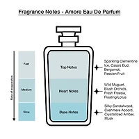 Vince Camuto Women's Eau De Parfum 4-Pc Coffret Set ($48 Value)