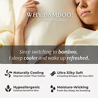 BedVoyage 300tc Rayon from Bamboo Pillowcases