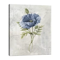 Lumaprints Blue Linen Poppy Canvas Art
