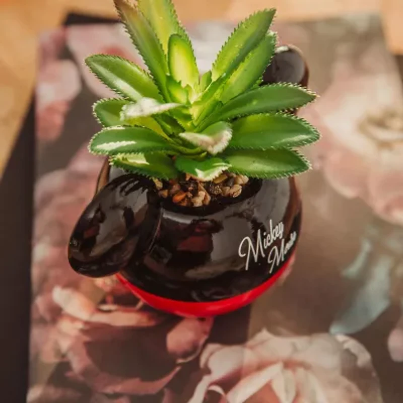 Disney Collection Mickey Mouse Mini Planter Planter