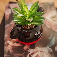 Disney Collection Mickey Mouse Mini Planter Planter