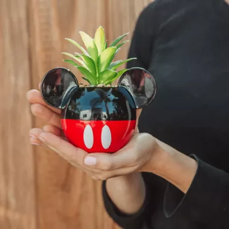 Disney Collection Mickey Mouse Mini Planter Planter