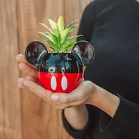 Disney Collection Mickey Mouse Mini Planter Planter