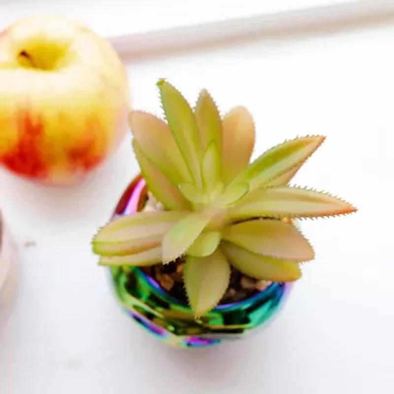 Disney Collection Poison Apple Mini Planter