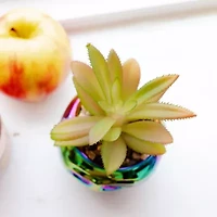 Disney Collection Poison Apple Mini Planter