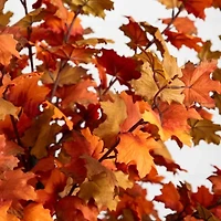 Nearly Natural 6' Orange Maple Artificial Tree
