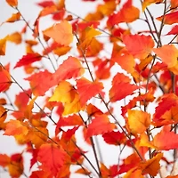 Nearly Natural 9' Orange Autumn Birch Artificial Tree