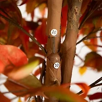Nearly Natural 9' Orange Autumn Ficus Artificial Tree