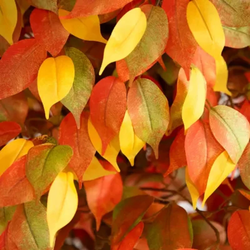 Nearly Natural 10' Orange Autumn Ficus Artificial Tree