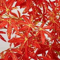 Nearly Natural 5' Orange Vibrant Maple Artificial Tree