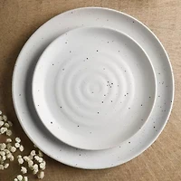 EARTH & CLAY Ion -pc. Stoneware Dinnerware Set