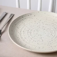 Stone + Lain Dua 4-pc. Stoneware Dinner Plate