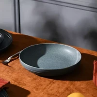 Stone + Lain Elio 8-pc. Stoneware Pasta Bowl