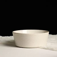 Stone + Lain Claire 4-pc. Stoneware Cereal Bowl