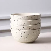 Stone + Lain Dua 4-pc. Stoneware Dinnerware Set