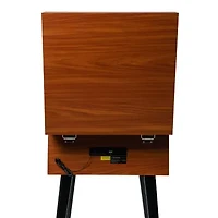 Victor Newbury 8-in-1 music Turntable