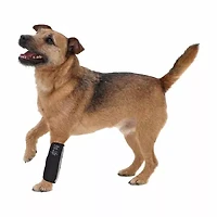 The Pet Life Extreme-Neoprene Joint Protective Reflective Sleeves