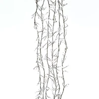 Kurt Adler 300-Light Cluster Garland Cool White LED Twinkle Lights