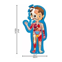 Hape Human Body Puzzle