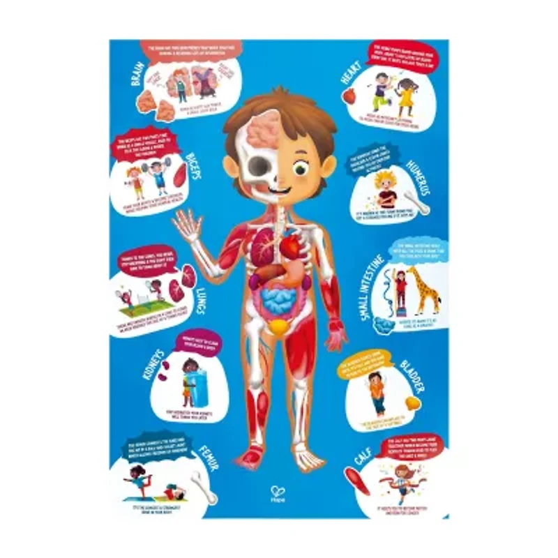 Hape Human Body Puzzle