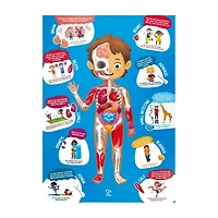 Hape Human Body Puzzle
