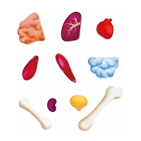 Hape Human Body Puzzle