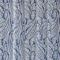 Fieldcrest Paisley Shower Curtain
