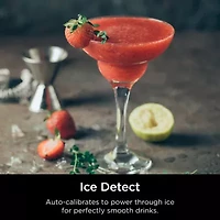 Ninja Detect Duo Power Blender Pro