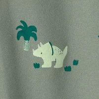 Carter's Baby Boys Sleep and Play