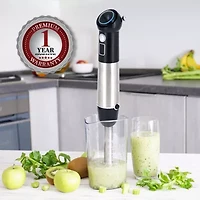 Ovente Immersion 2-Speed Blender