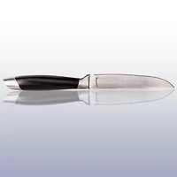 BergHOFF Essentials Geminis Stainless Steel 12-pc. Steak Knife Set