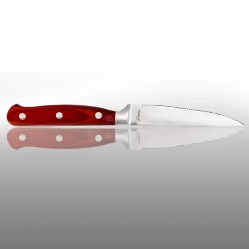 BergHOFF Pakka Wood Stainless Steel -pc. Steak Knife Set