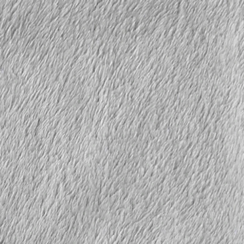 Home Expressions Velvet Plush Blanket