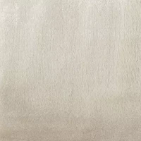 Home Expressions Velvet Plush Blanket