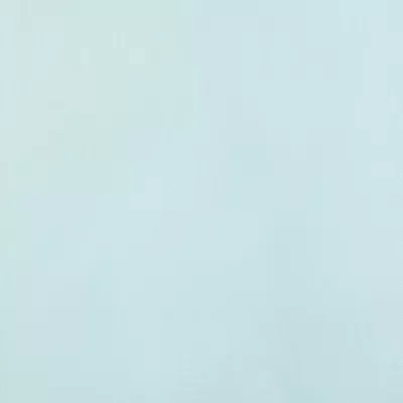 Liz Claiborne Lisette Rod Pocket Sheer Single Curtain Panel