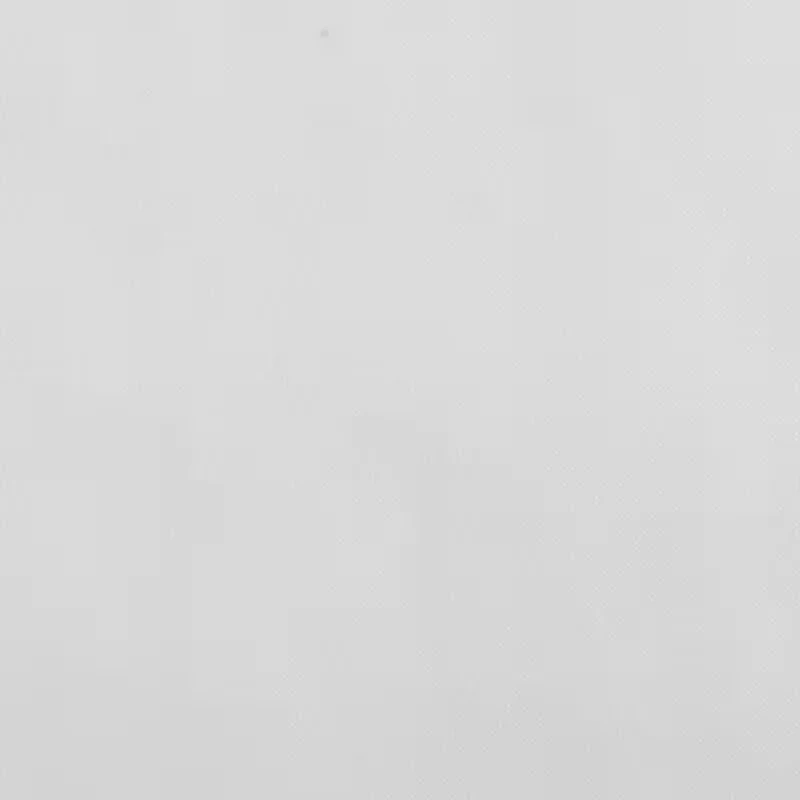 Liz Claiborne Lisette Rod Pocket Sheer Single Curtain Panel