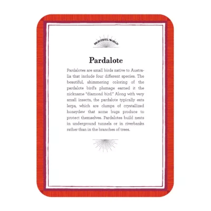 Eeboo Beautiful World Educational Flash Cards Discovery Toy