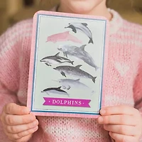 Eeboo Beautiful World Educational Flash Cards Discovery Toy