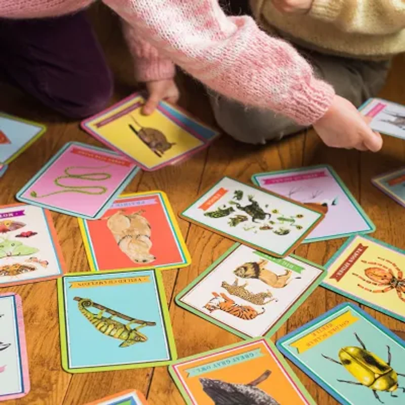 Eeboo Beautiful World Educational Flash Cards Discovery Toy