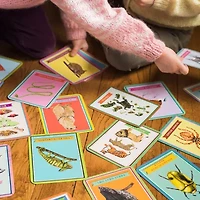 Eeboo Beautiful World Educational Flash Cards Discovery Toy