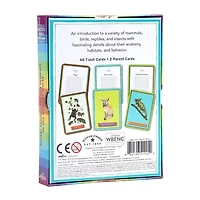 Eeboo Beautiful World Educational Flash Cards Discovery Toy