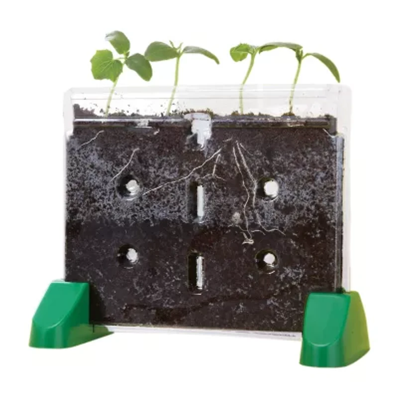 Educational Insights Sprout & Grow™ Window Discovery Toy