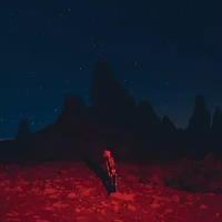 Phoebe Bridgers-Punisher Lp Vinyl Records