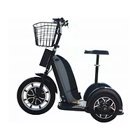Mototec 800 Watt 48v 3 Wheel Electric Trike Mobility Scooter Electric Scooter
