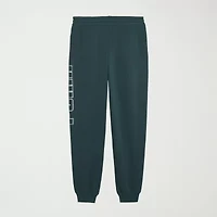 PUMA Mens Regular Fit Fleece Active Jogger Pant