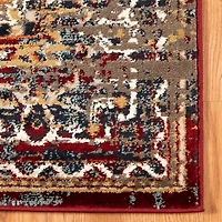 Amer Rugs Arlenu Cass Medallion Indoor Rectangular Accent Rug