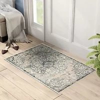 Amer Rugs Arlenu Eba Medallion Indoor Rectangular Accent Rug