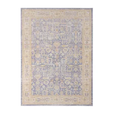 Amer Rugs Cienieka Hiromi Vintage Bordered Indoor Rectangular Accent Rug