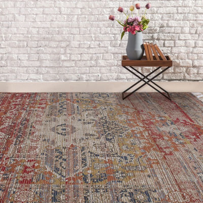 Amer Rugs Prenell Correna Farmhouse Serapi Medallion Indoor Rectangular Accent Rug
