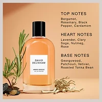 David Beckham Amber Breeze Eau De Parfum